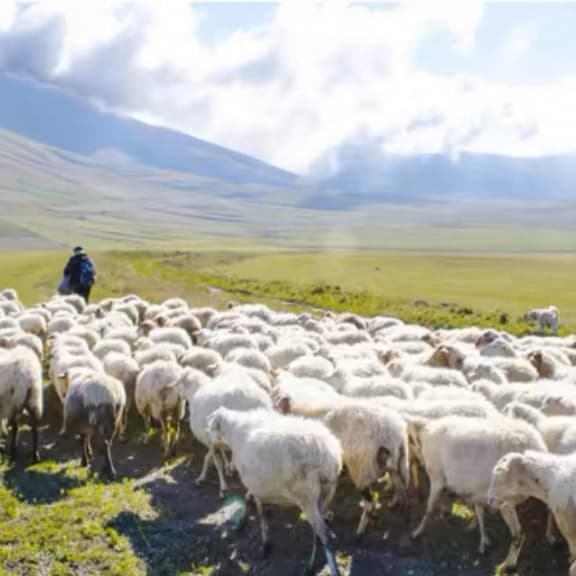 モード系ファッション 《2025秋冬新作》体型カバー×高級素材◆ウール混千鳥柄ジャケット／ロング丈アウター／レディースゆったり大きめサイズ対応／M-2XL展開